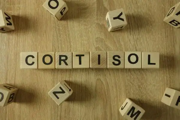 The Hidden Connection: How Stress Shapes Your Fitness and Body Composition 2 Image saying "Cortisol" and how stress Dorchester impacts your wellbeing and bodies shape